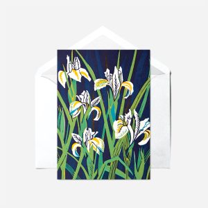 Dutch Iris