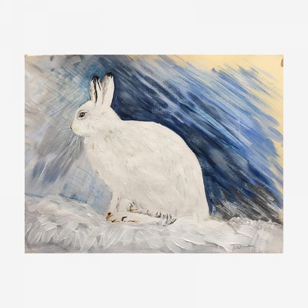 Mountain Hare in Winter
