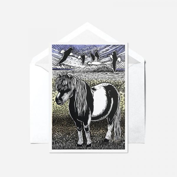 Shetland Pony - Card