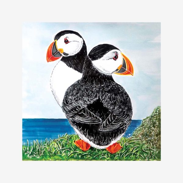 Cliff Top Puffins Card