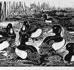 Tufties-Spiggie-Loch